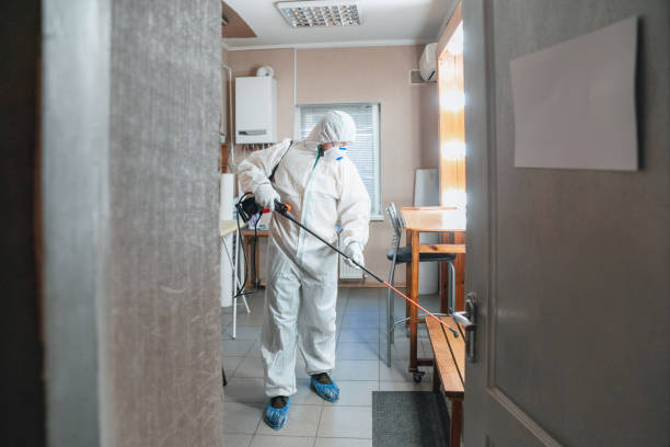 Best Mold Removal for HVAC Installations  in Sun Prairie, WI